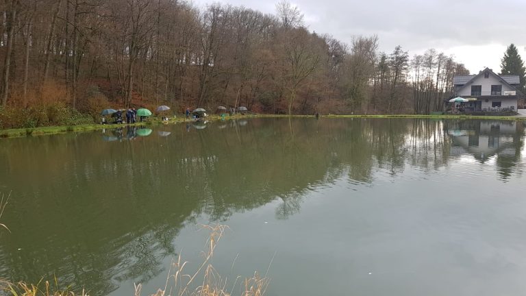 Bildergalerie Angelpark und Fischzucht Scheid