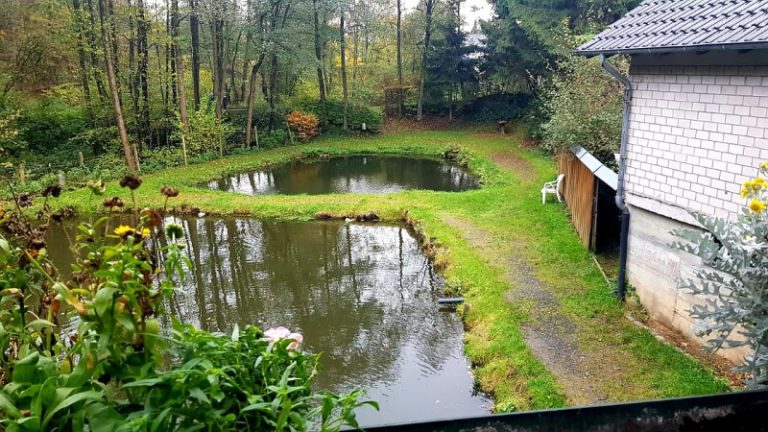 Über Uns Angelpark und Fischzucht Scheid